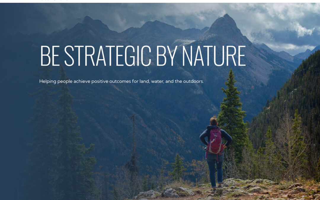 Be Strategic By Nature
