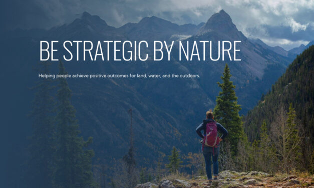 Be Strategic By Nature